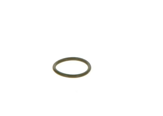 Rubber Ring (F 00V C38 041)
