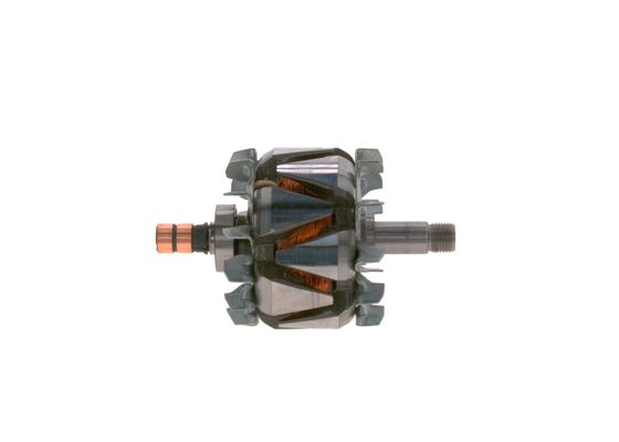 Rotor, alternator