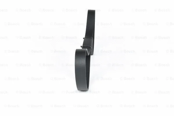V-Ribbed Belt