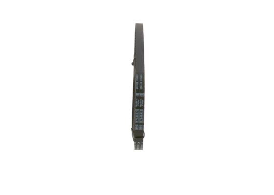 V-Belt