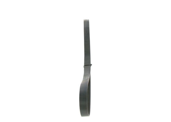 V-Ribbed Belt