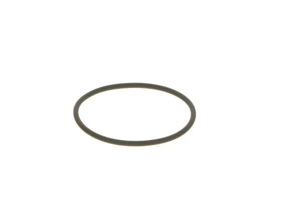 Seal Ring