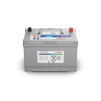 Starter Battery