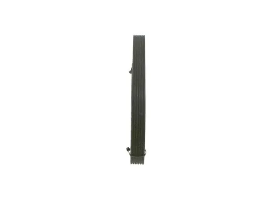 V-Ribbed Belt (1 987 946 200)