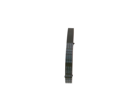 V-Ribbed Belt
