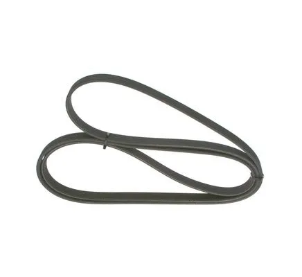 V-Ribbed Belt