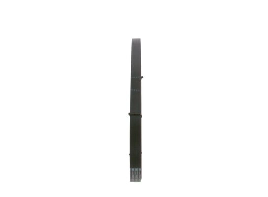 V-Ribbed Belt