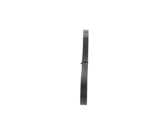 V-Ribbed Belt