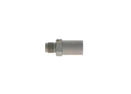 Pressure Relief Valve, common rail system (1 110 010 033)
