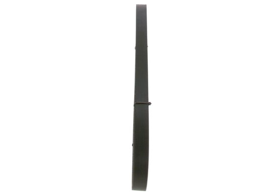 V-Ribbed Belt