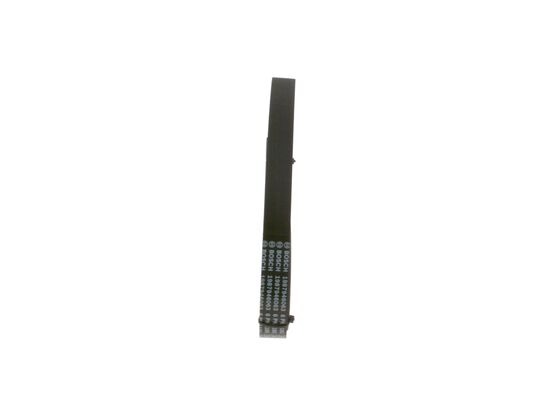 V-Ribbed Belt