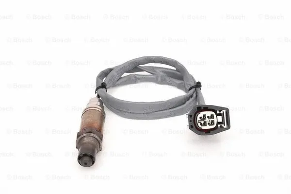 Lambda Sensor (F 00H L00 365)