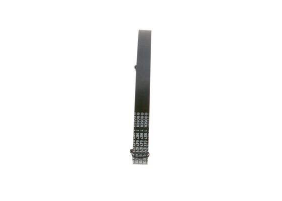V-Ribbed Belt