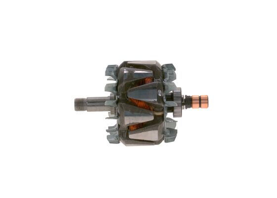 Rotor, alternator