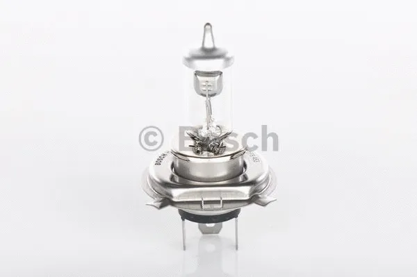 Bulb (1 987 302 042)