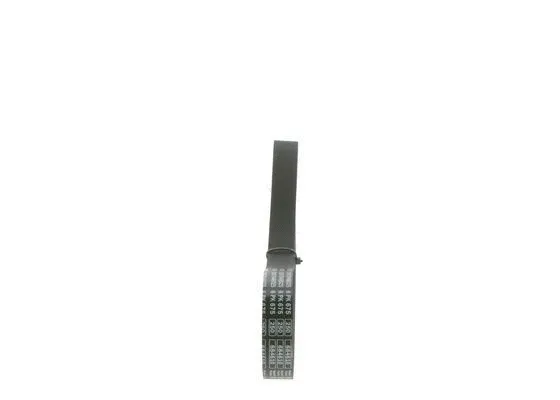 V-Ribbed Belt