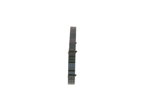 V-Ribbed Belt
