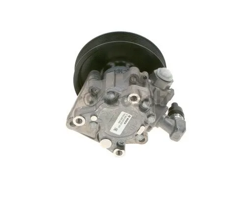 Hydraulic Pump, steering (K S00 000 637)