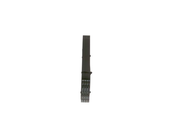 V-Ribbed Belt (1 987 947 817)