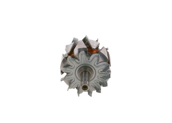 Rotor, alternator
