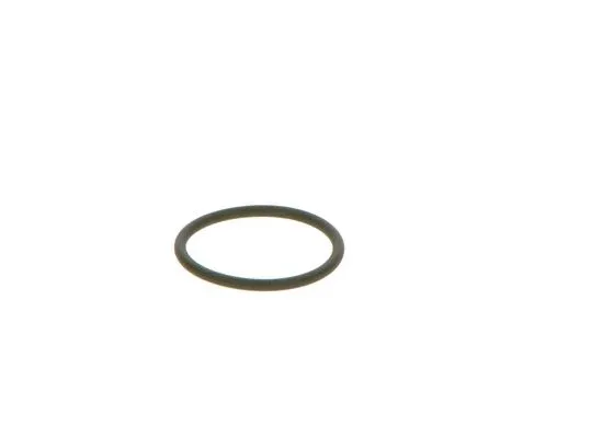 Rubber Ring (2 440 210 039)