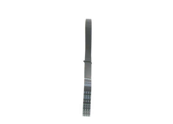 V-Ribbed Belt (1 987 946 142)