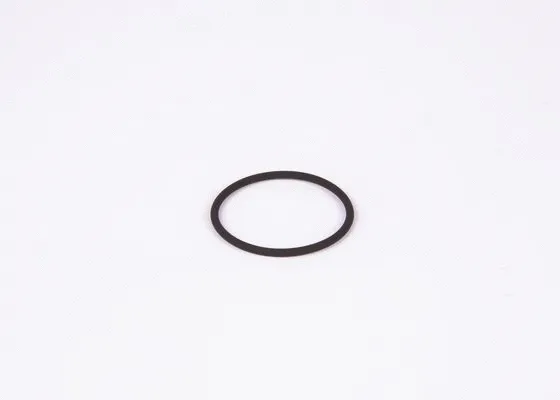 Rubber Ring (F 00R J00 220)