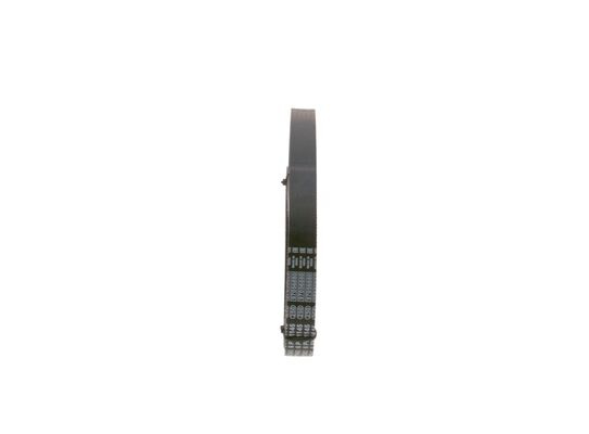 V-Ribbed Belt