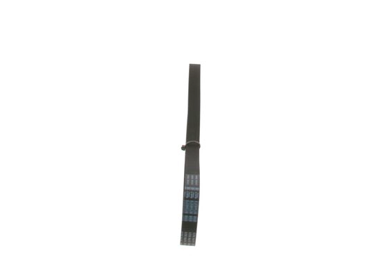 V-Ribbed Belt