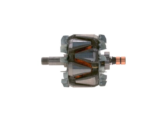 Rotor, alternator