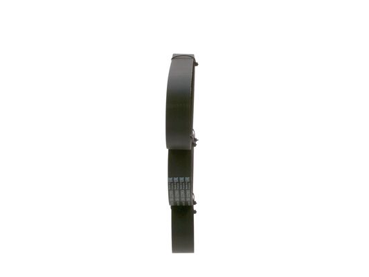 V-Ribbed Belt (1 987 947 377)