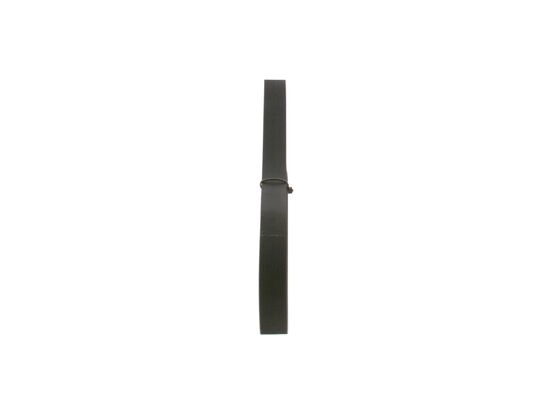 V-Ribbed Belt