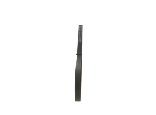 V-Ribbed Belt
