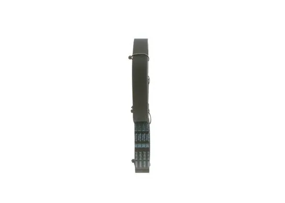V-Ribbed Belt