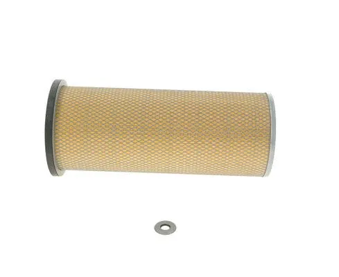 Secondary Air Filter