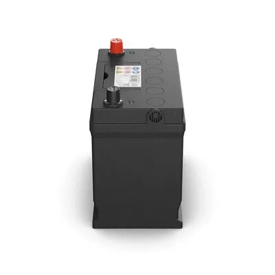 Starter Battery