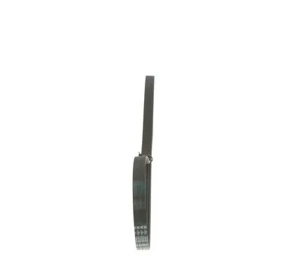 V-Ribbed Belt