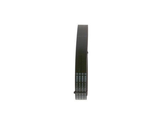 V-Ribbed Belt