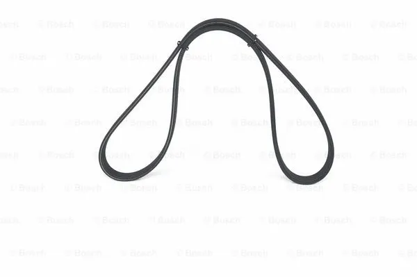 V-Ribbed Belt (1 987 946 202)