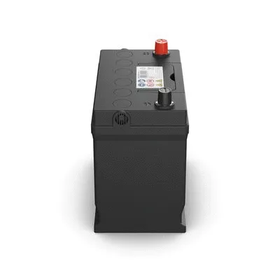 Starter Battery