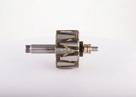Rotor, alternator (2 124 037 064)