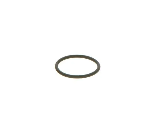 Rubber Ring