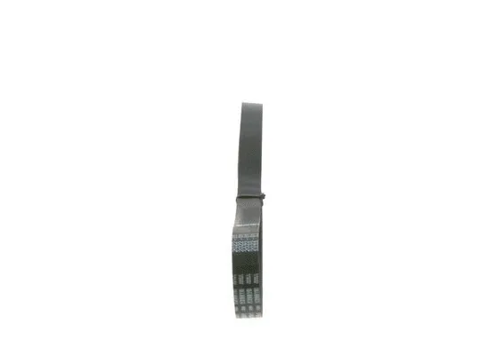 V-Ribbed Belt
