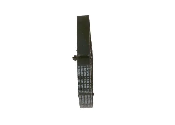 Timing Belt
