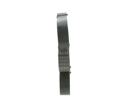 V-Ribbed Belt (1 987 947 079)
