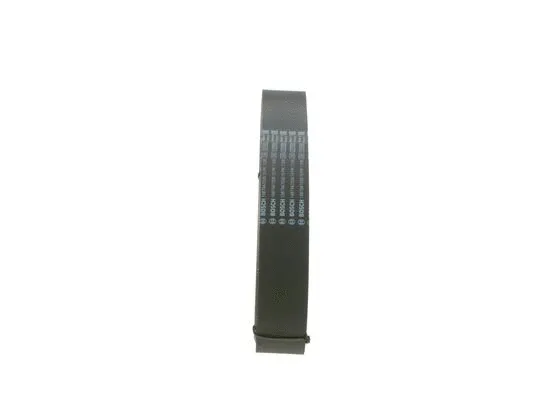 V-Ribbed Belt (1 987 947 036)