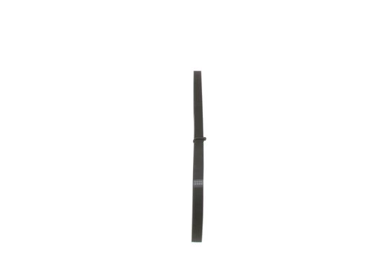 V-Ribbed Belt (1 987 947 827)