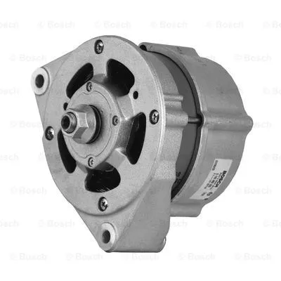 Alternator (0 120 489 325)
