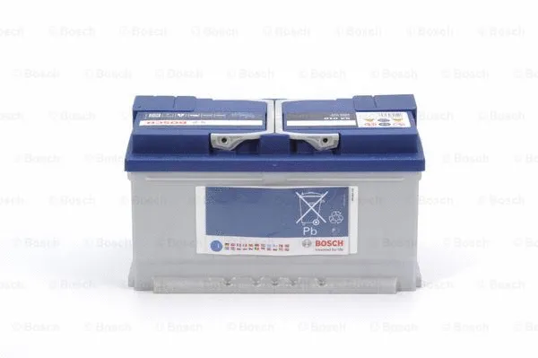 Starter Battery