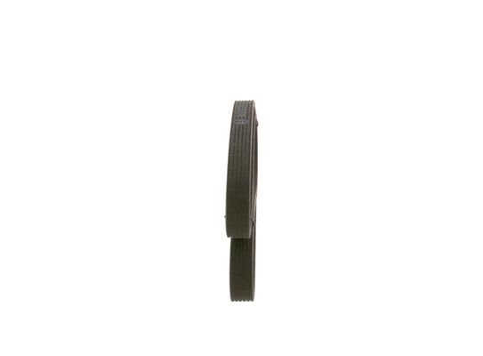V-Ribbed Belt